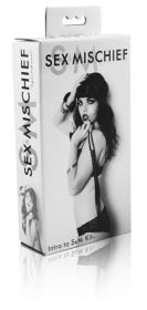 Sex and Mischief Intro to Sex and Mischief  Kit - Black