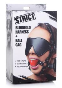 Blindfold Harness And Ball Gag